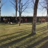 Jornada canicross