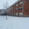 Nieve en el Oja