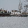 Nieve en el Oja