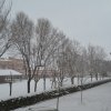 Nieve en el Oja