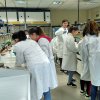visita_ur_2018_02